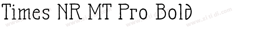 Times NR MT Pro Bold字体转换